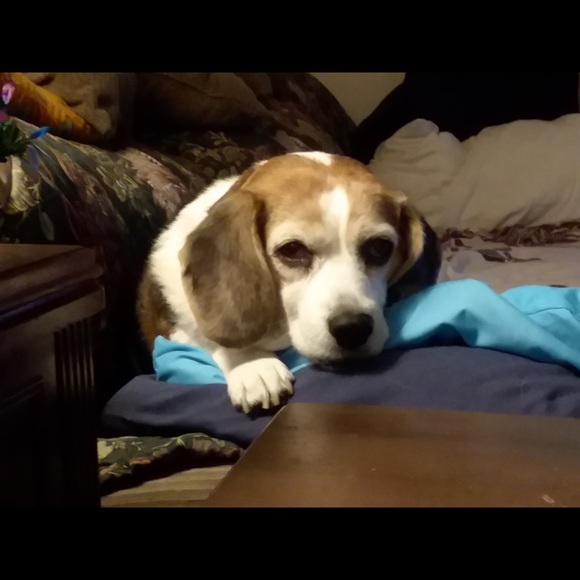 Meet your Posher, Debby - Picture 2 of 2